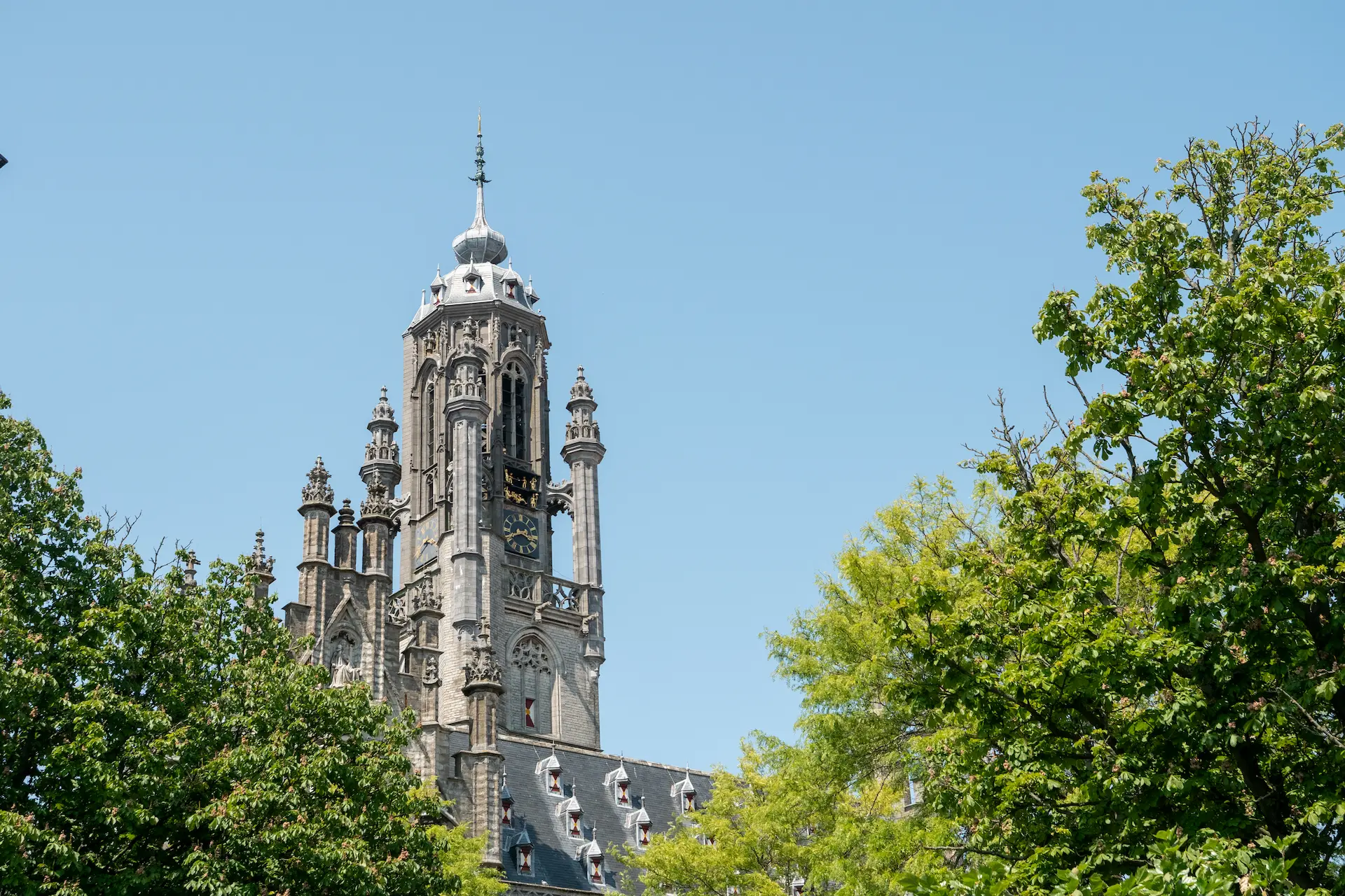 Top of the University College Roosevelt Building in Middelburg framed by trees